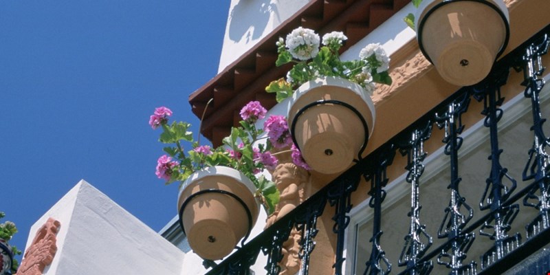flower pots in Alicante Old Town