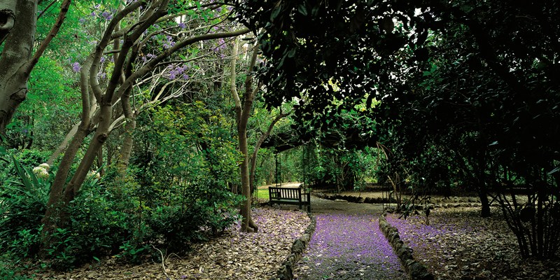 Jardin Canario